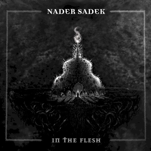 Nader Sadek - In the Flesh